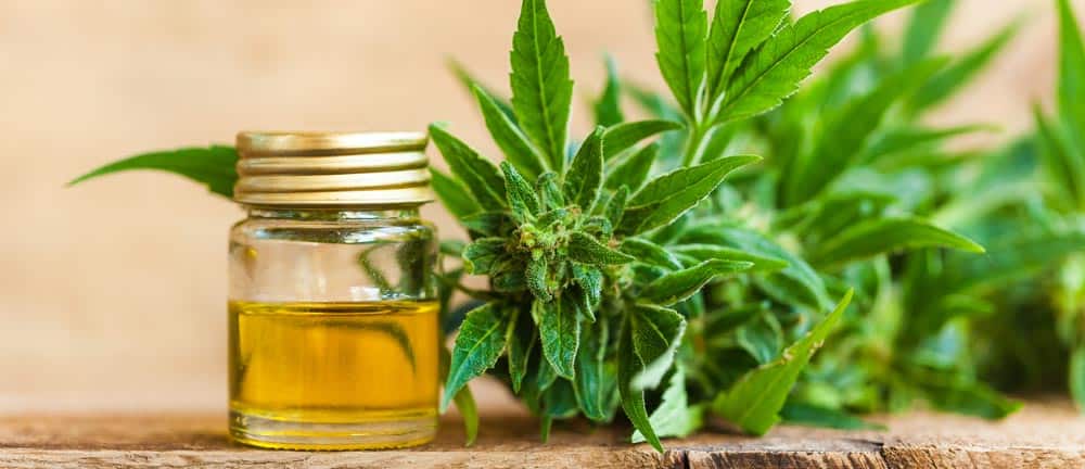CBD bottle and marijuana leaves