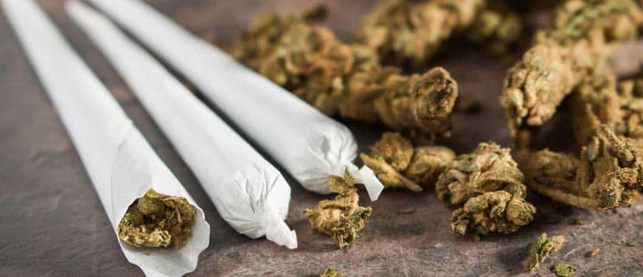 marijuana addiction